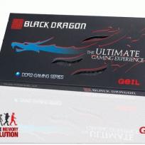 G.E.I.L. Black Dragon PC2-8500 CL5 2x2GB Kit 1066